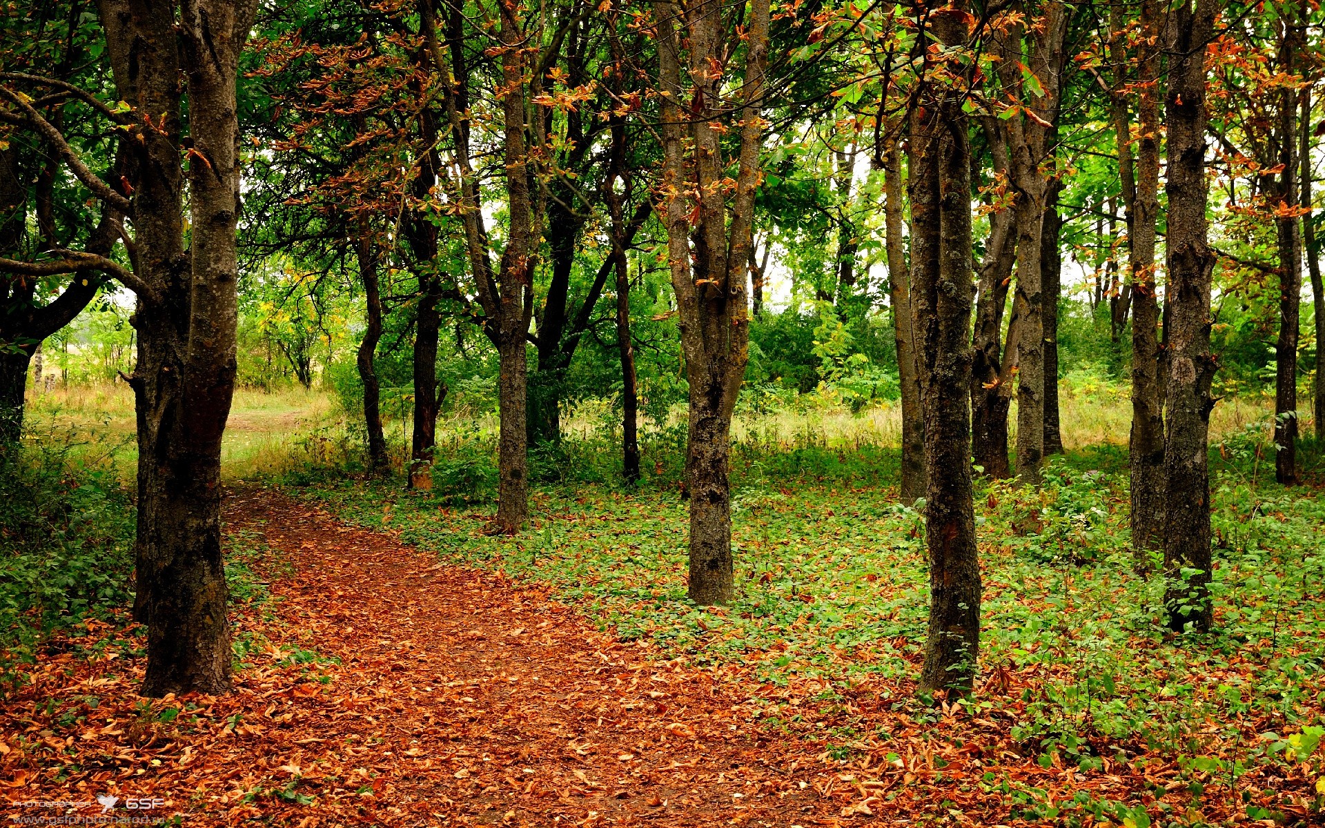 【青训故事】从丁俊晖到新一代青训营的成长轨迹，丁俊晖训练