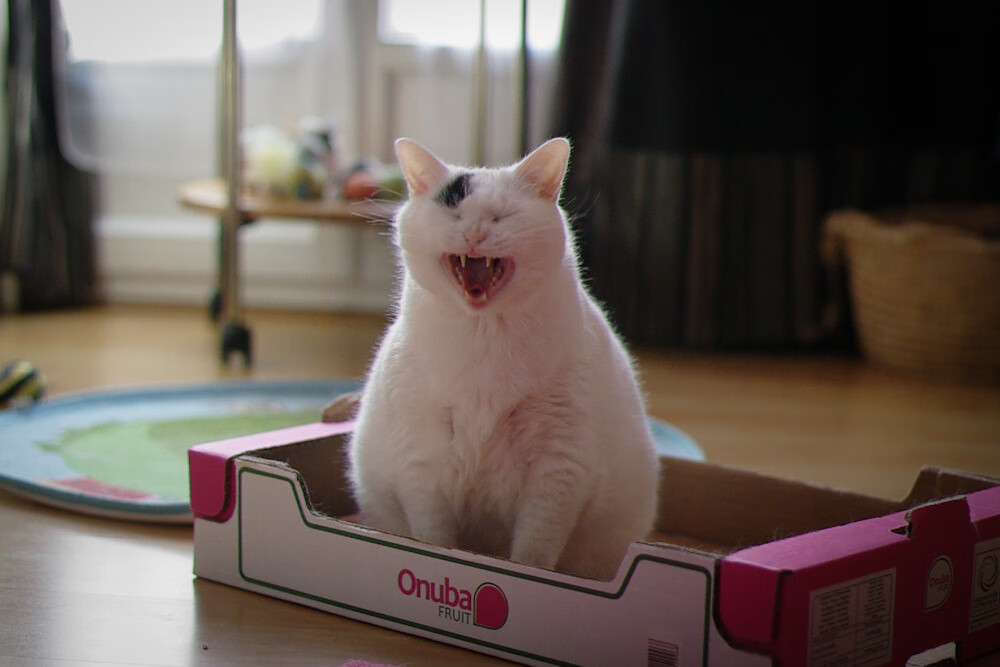 【青训故事】从丁俊晖到新一代青训营的成长轨迹，丁俊晖训练