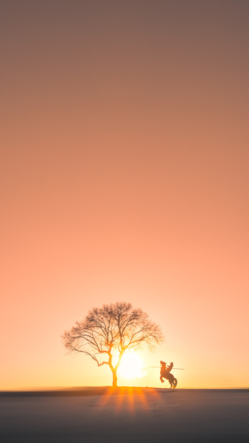 中国象棋协会与韩国象棋协会签署合作协议,中国象棋协会与韩国象棋协会签署合作协议