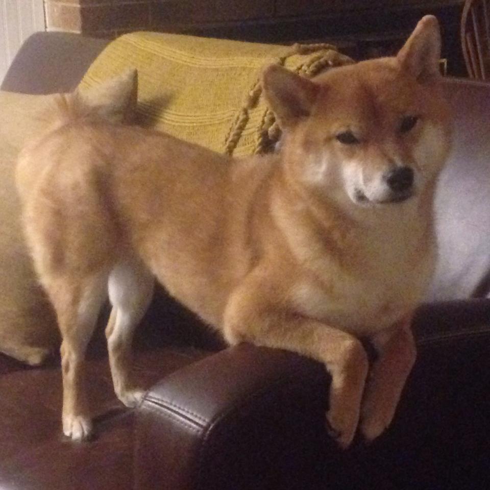 中国足球联赛精彩瞬间集锦一览,中国足球队比赛视频