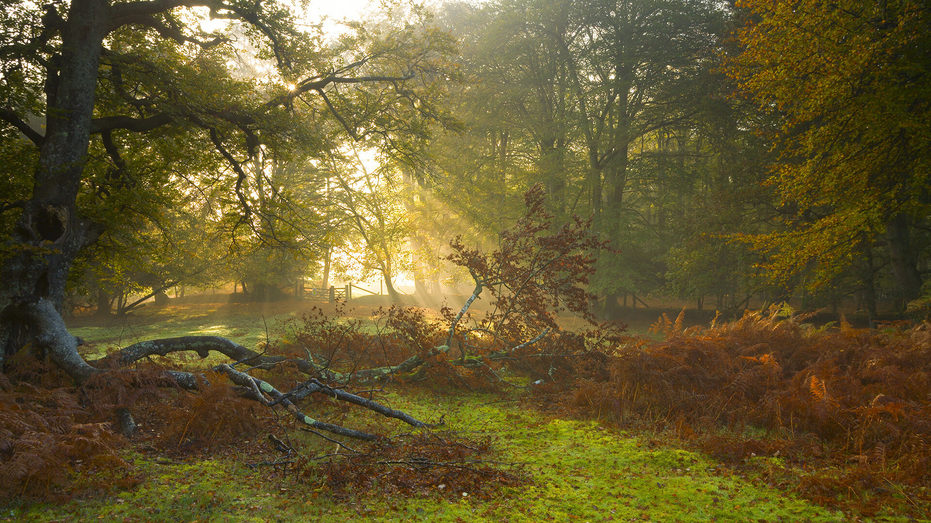 伊朗男足在巴黎奥运会比赛中以1-0战胜意大利，伊朗 男足