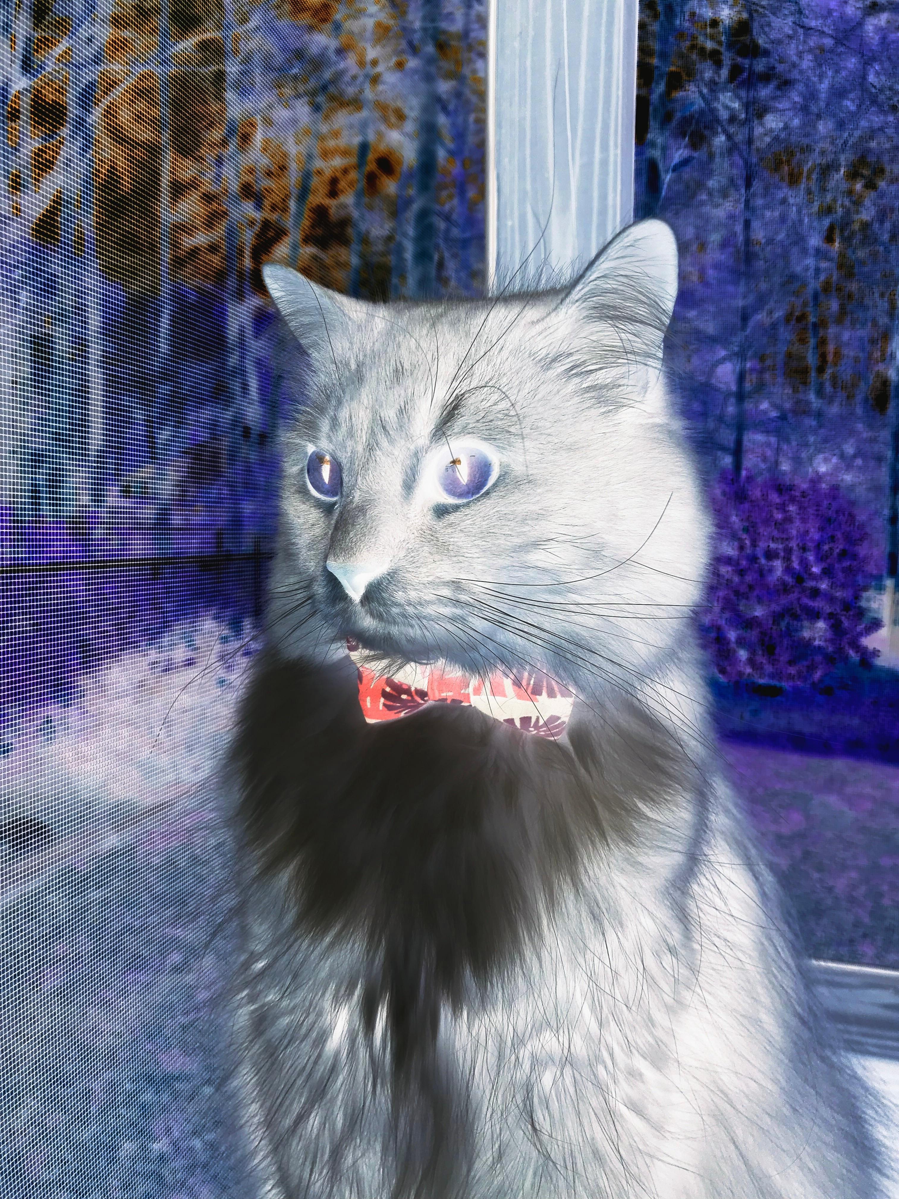 传奇“飞天大脚”：史上最震撼的远射瞬间，飞天大战