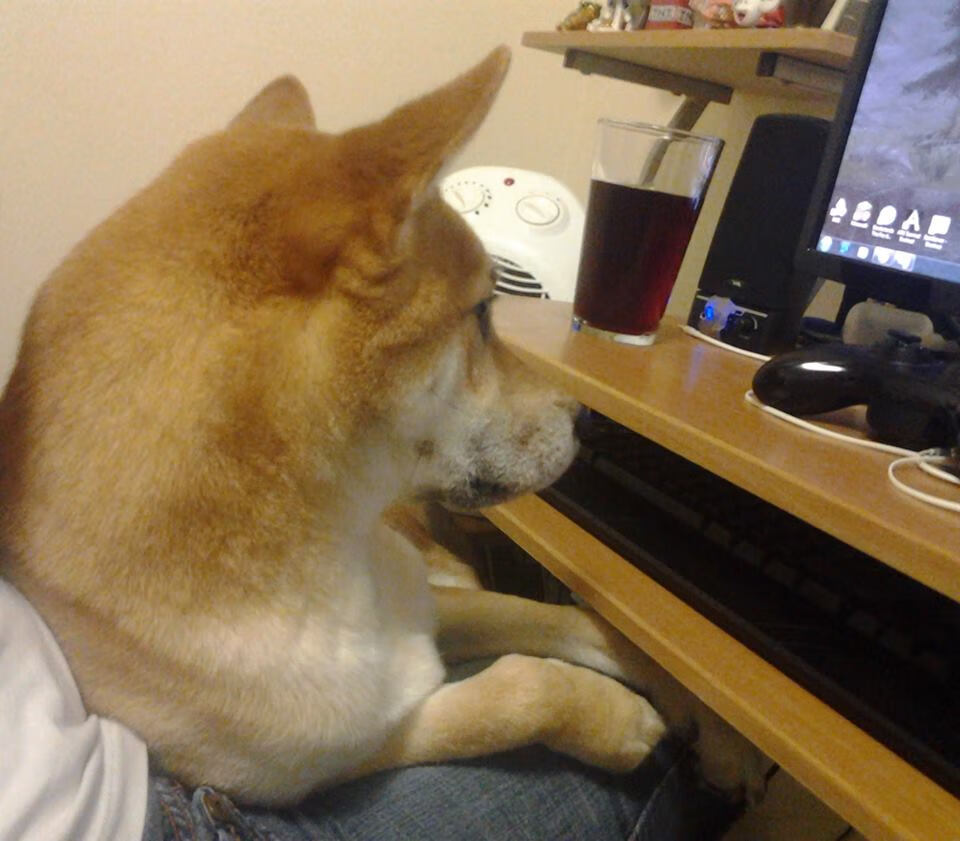 急流冲浪挑战赛，水上极限运动的新天地，急流航行